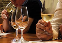 degustation-vivexpo