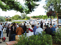 marche-vivexpo